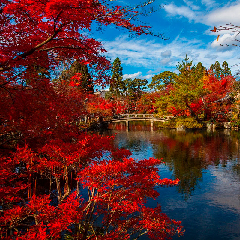 imagen noticia: Momiji en JAPN. Una poca muy especial para viajar.